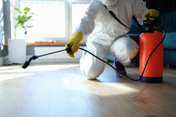 Reliable Odor Removal contractor in Honaunau, HI by Dulley Family Biohazard Services